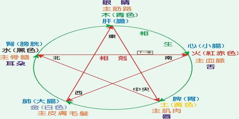 八字得地的好处(八字中的地支揭示了地气运动的规律)