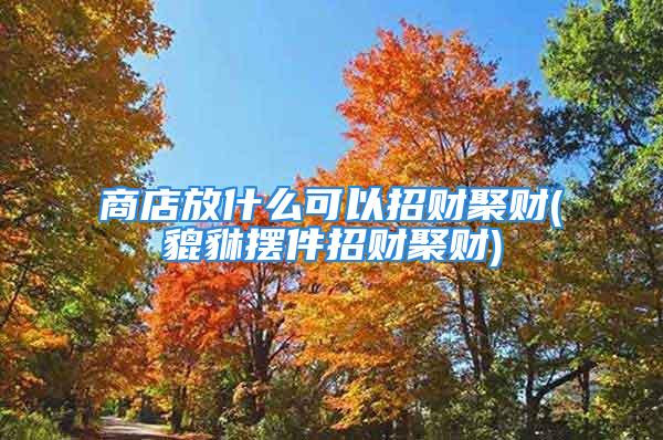 商店放什么可以招财聚财(貔貅摆件招财聚财)