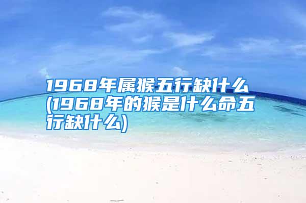 1968年属猴五行缺什么 (1968年的猴是什么命五行缺什么)