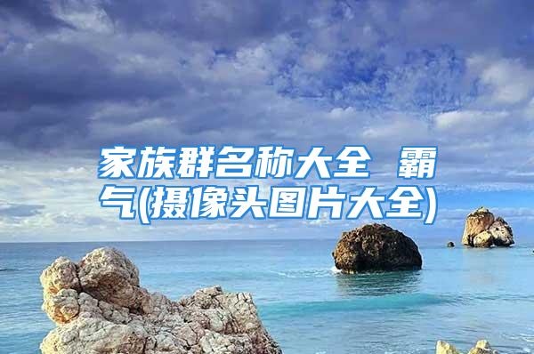 家族群名称大全 霸气(摄像头图片大全)