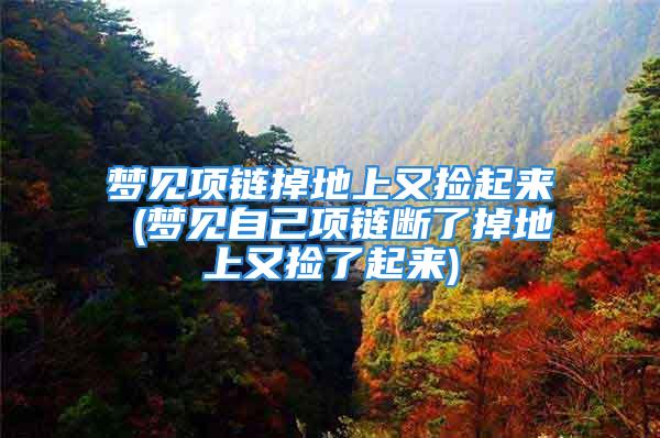 梦见项链掉地上又捡起来 (梦见自己项链断了掉地上又捡了起来)