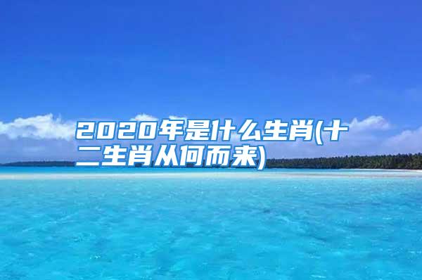 2020年是什么生肖(十二生肖从何而来)