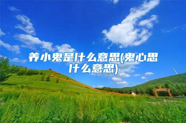 养小鬼是什么意思(鬼心思什么意思)