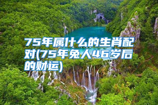 75年属什么的生肖配对(75年兔人46岁后的财运)