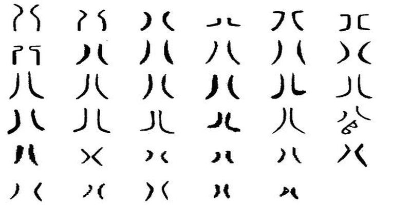 算卦数字代表的意义(中国“数字”的由来)