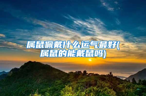 属鼠佩戴什么运气最好(属鼠的能戴鼠吗)