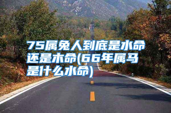 75属兔人到底是水命还是木命(66年属马是什么水命)