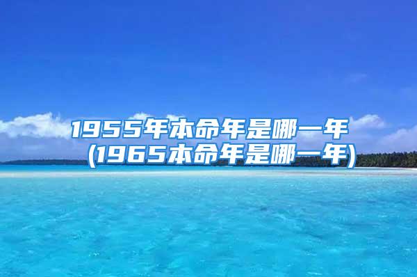 1955年本命年是哪一年 (1965本命年是哪一年)