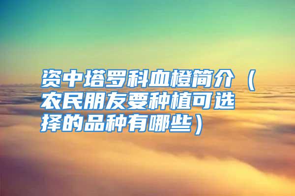 资中塔罗科血橙简介（农民朋友要种植可选择的品种有哪些）