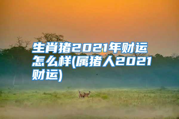 生肖猪2021年财运怎么样(属猪人2021财运)