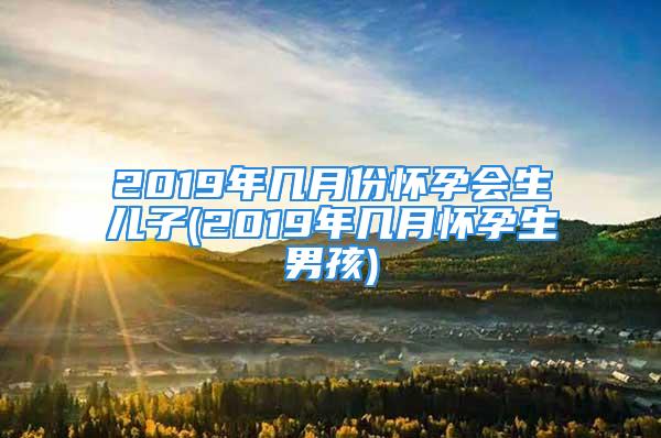 2019年几月份怀孕会生儿子(2019年几月怀孕生男孩)