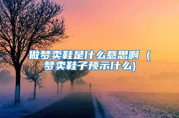 做梦卖鞋是什么意思啊 (梦卖鞋子预示什么)