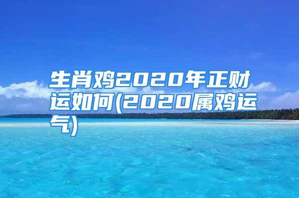 生肖鸡2020年正财运如何(2020属鸡运气)