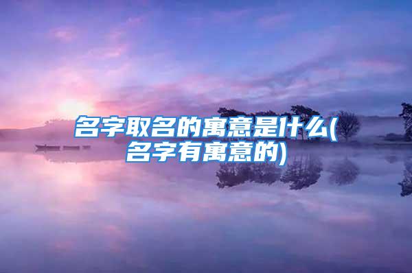 名字取名的寓意是什么(名字有寓意的)