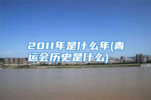 2011年是什么年(青运会历史是什么)