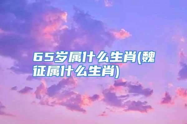 65岁属什么生肖(魏征属什么生肖)