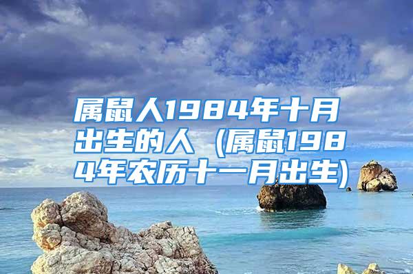 属鼠人1984年十月出生的人 (属鼠1984年农历十一月出生)