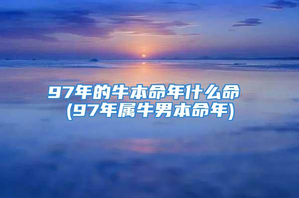 97年的牛本命年什么命 (97年属牛男本命年)