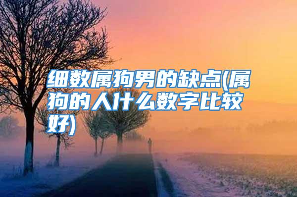 细数属狗男的缺点(属狗的人什么数字比较好)