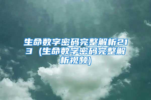 生命数字密码完整解析213 (生命数字密码完整解析视频)