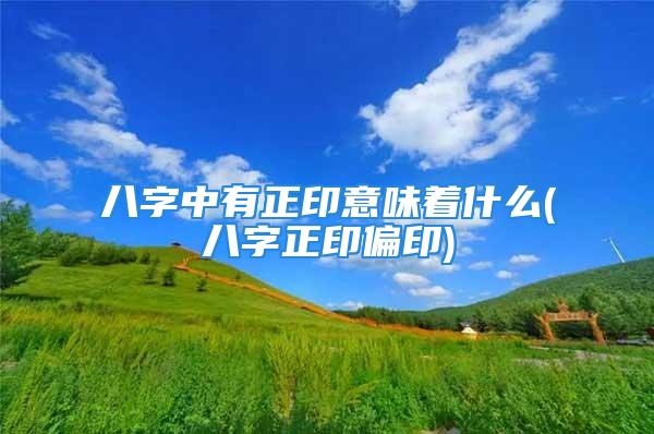 八字中有正印意味着什么(八字正印偏印)