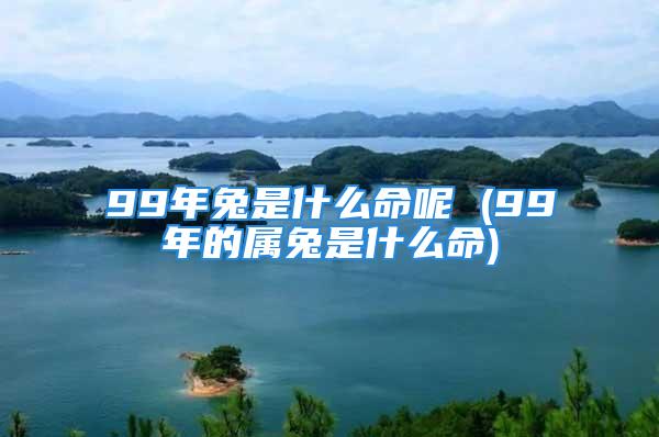 99年兔是什么命呢 (99年的属兔是什么命)