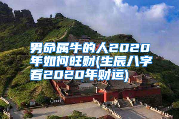 男命属牛的人2020年如何旺财(生辰八字看2020年财运)