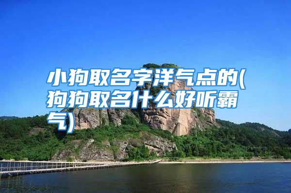 小狗取名字洋气点的(狗狗取名什么好听霸气)