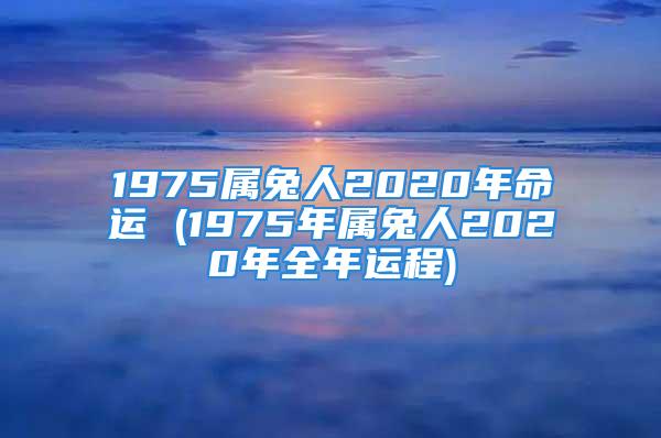 1975属兔人2020年命运 (1975年属兔人2020年全年运程)