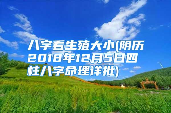 八字看生殖大小(阴历2018年12月5日四柱八字命理详批)