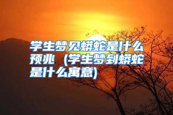 学生梦见蟒蛇是什么预兆 (学生梦到蟒蛇是什么寓意)