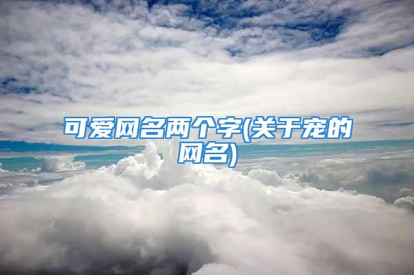 可爱网名两个字(关于宠的网名)