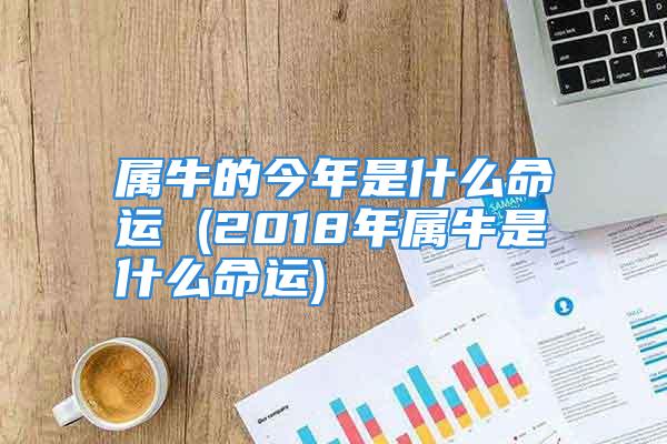 属牛的今年是什么命运 (2018年属牛是什么命运)