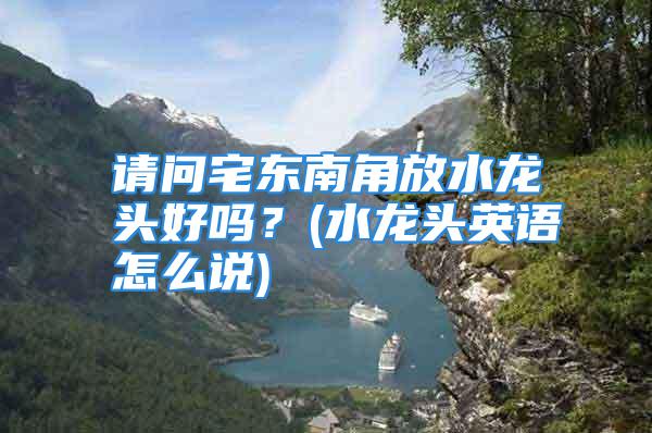 请问宅东南角放水龙头好吗？(水龙头英语怎么说)