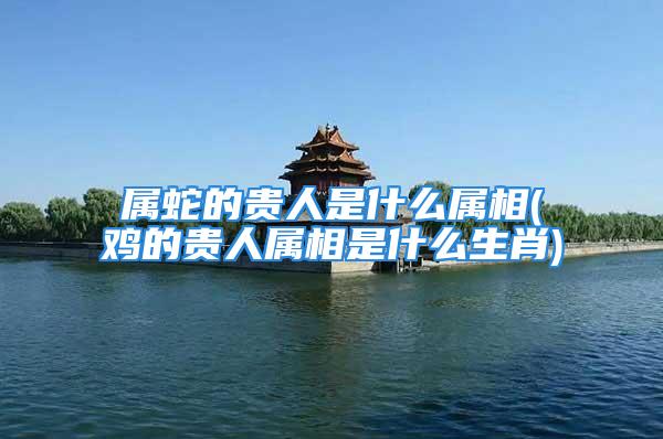 属蛇的贵人是什么属相(鸡的贵人属相是什么生肖)