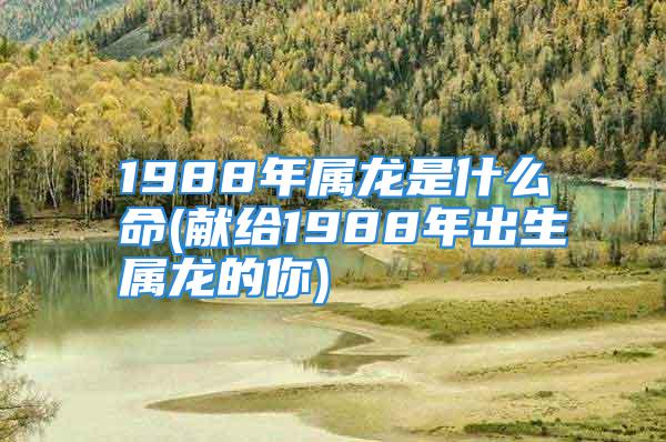 1988年属龙是什么命(献给1988年出生属龙的你)