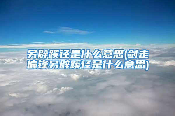 另辟蹊径是什么意思(剑走偏锋另辟蹊径是什么意思)