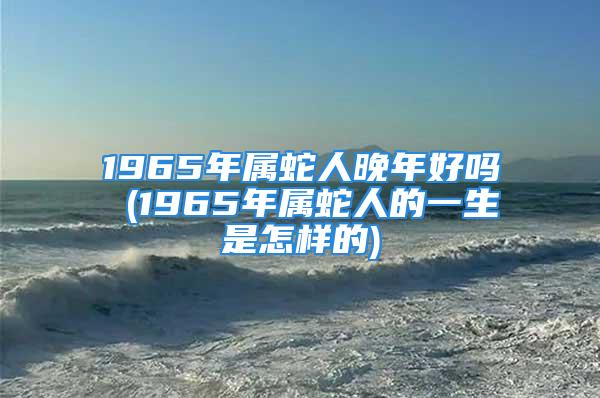 1965年属蛇人晚年好吗 (1965年属蛇人的一生是怎样的)