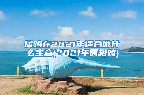 属鸡在2021年适合做什么生意(2021年属相鸡)