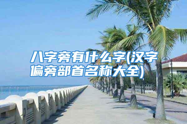 八字旁有什么字(汉字偏旁部首名称大全)