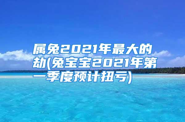 属兔2021年最大的劫(兔宝宝2021年第一季度预计扭亏)