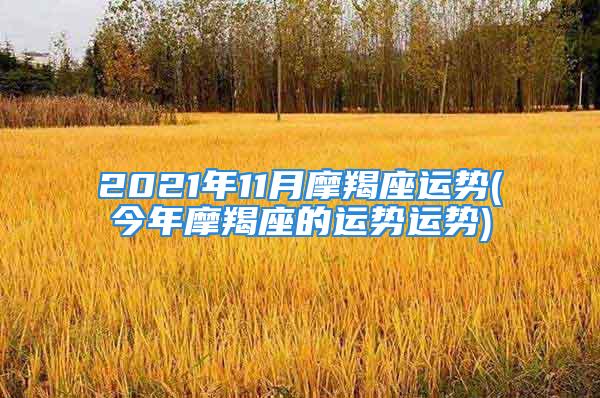 2021年11月摩羯座运势(今年摩羯座的运势运势)