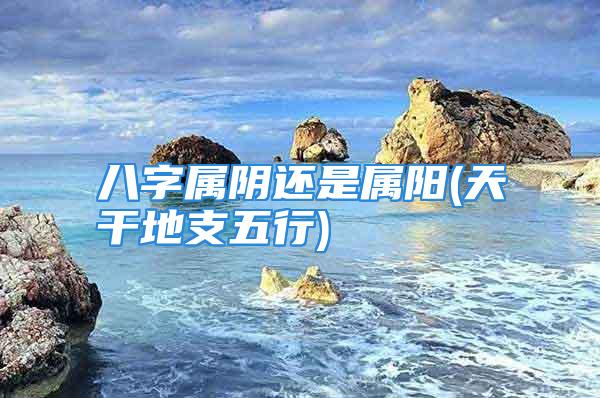 八字属阴还是属阳(天干地支五行)