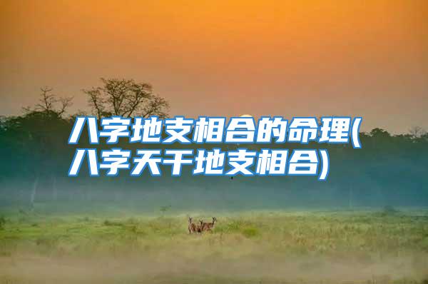 八字地支相合的命理(八字天干地支相合)