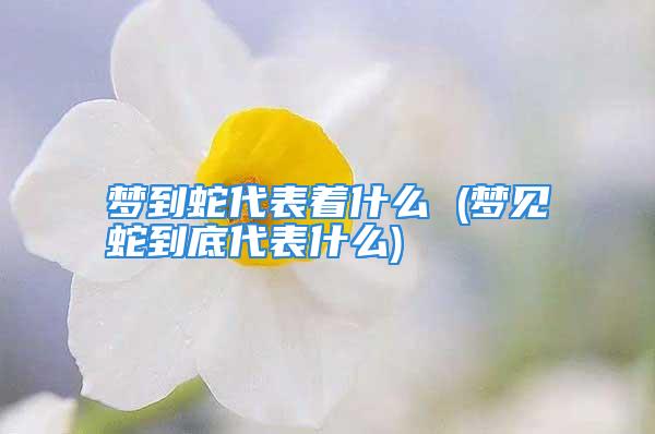 梦到蛇代表着什么 (梦见蛇到底代表什么)