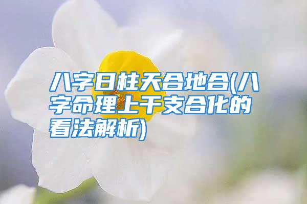 八字日柱天合地合(八字命理上干支合化的看法解析)