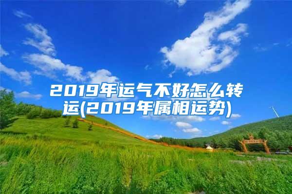 2019年运气不好怎么转运(2019年属相运势)