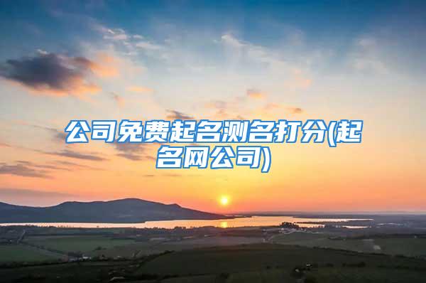 公司免费起名测名打分(起名网公司)