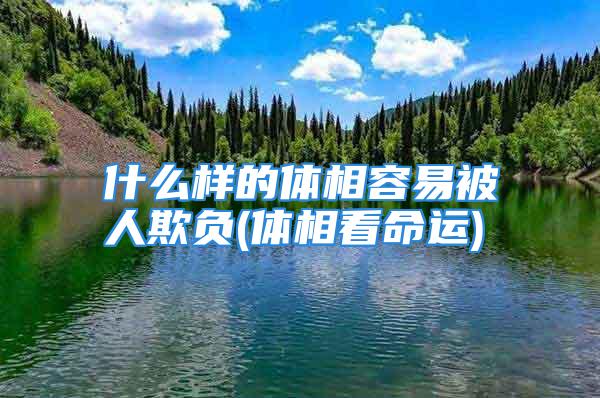 什么样的体相容易被人欺负(体相看命运)