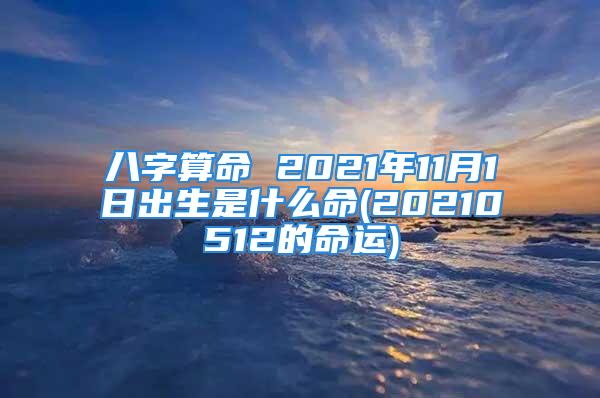 八字算命 2021年11月1日出生是什么命(20210512的命运)